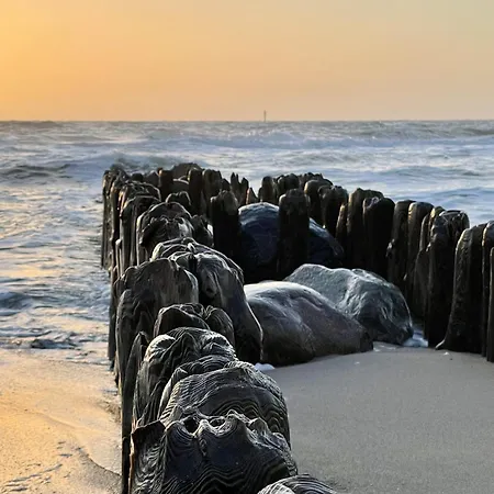 Dom wakacyjny Haus Moin